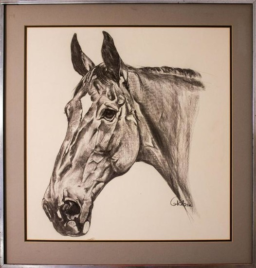 Equestrian Portrait of a Horse, Signed, Charcoal