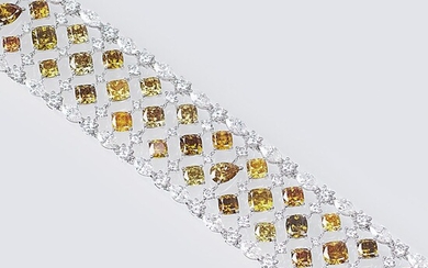 A Diamond Bracelet with Fancy and River - Rare White Diamonds