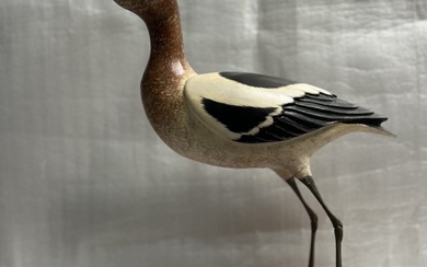 MAX THOMPSOM ORIGINAL HAND CARVED "AVOCET" BIRD HAND SIGNED & NUMBERED 17"T 18L