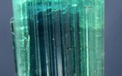 MP01-270 66.55 carats Terminated & Undamaged Blue Green