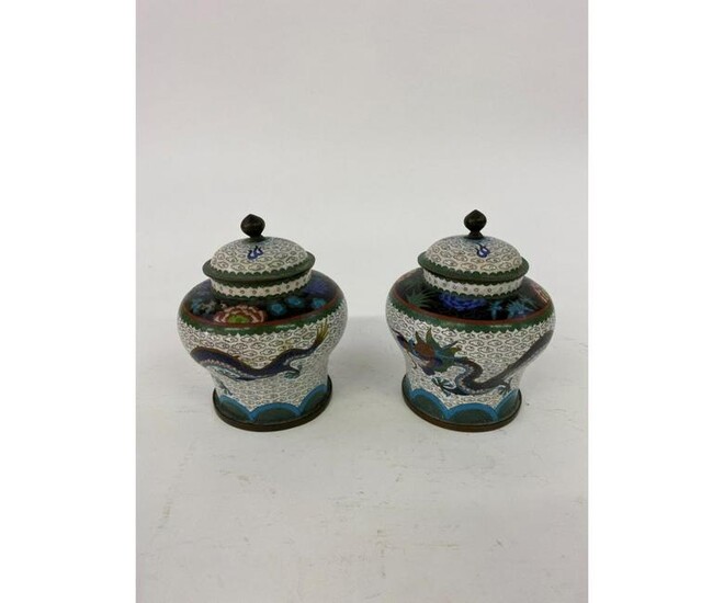 Pair of Chinese Cloisonne' Covered Vases