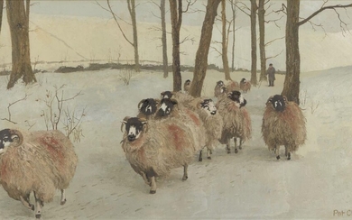 Pat Cleary, British 20th century - Sheep; oil on board, signed lower right 'Pat Cleary', 50.2 x 91 cm (ARR)