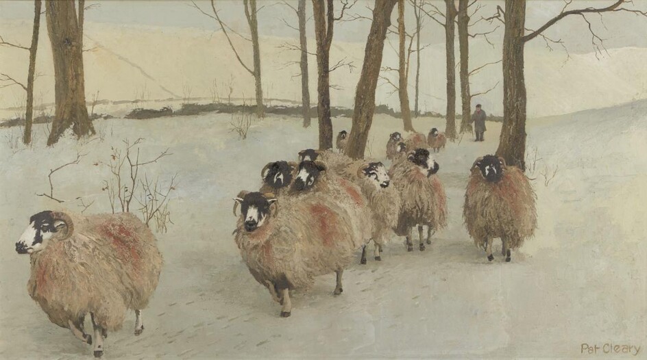 Pat Cleary, British 20th century - Sheep; oil on board, signed lower right 'Pat Cleary', 50.2 x 91 cm (ARR)