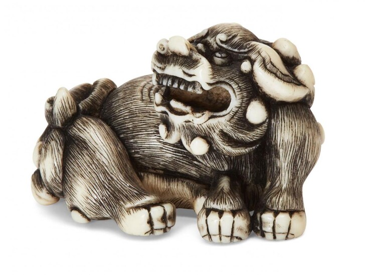 Property of a Gentleman (lots 36-85) A Japanese Ivory Netsuke, 18th century, finely carved as a recumbent shishi with open mouth, 4cm