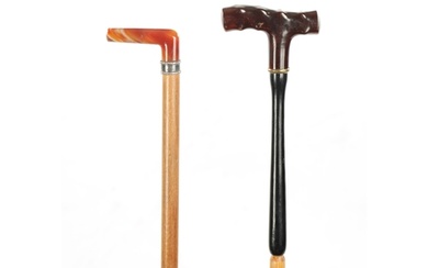 TWO LATE 19TH CENTURY AGATE AND STONE TOPPED WALKING STICKS ...