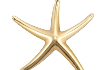 Tiffany & Co Elsa Peretti 18k Gold Starfish Pendant