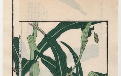 Vintage Botanical Woodblock Print From the 1970s by Kono Bairei