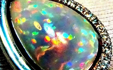14 kt. White gold - Necklace with pendant Opal - AAA Rainbow Multicolor Mix - Diamonds - No Reserve