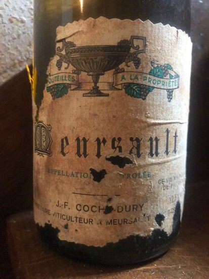 1995 Meursault - Domaine Coche Dury - Bourgogne - 1 Bottle (0.75L)