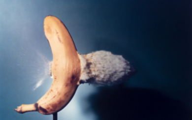 HAROLD EUGENE EDGERTON , Bullet Through Banana 1964 Dye-Transfer color print, printed about 1980. Signed on the verso, edition of 300. Framed 15.94 x...
