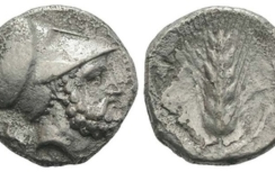 Southern Lucania, Metapontion, c. 340-330 BC. AR Stater (19mm, 7.57g,...