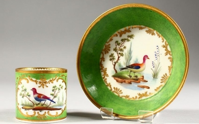 A GOOD 19TH CENTURY SEVRES COFFEE CAN AND SAUCER, apple