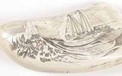 A SCRIMSHAW WHALES TOOTH