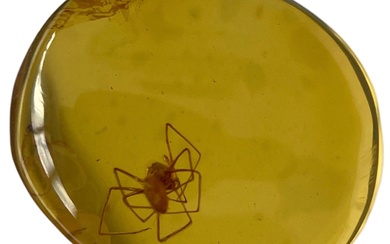 A SPIDER FOSSIL IN DINOSAUR AGED BURMESE AMBER A...