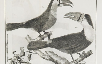 BRISSON (Mathurin Jacques). Ornithologie ou méthode contenant la division des oiseaux en ordres, sections, genres,...