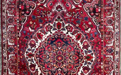 Bachtiar - Carpet - 296 cm - 222 cm