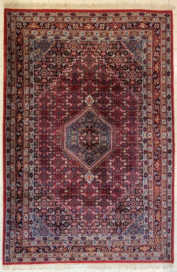Bidjar - Carpet - 294 cm - 199 cm