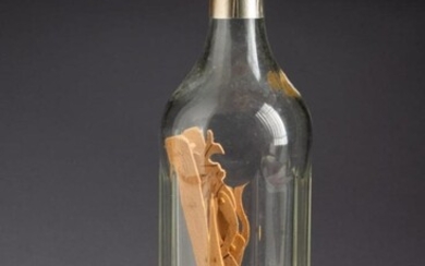 Devil Climbing a Ladder in a Bottle Whimsy.