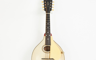 GIBSON, mandolin, “The Gibson Model A3", arched top with oval, sides and back cover in arched maple, ebony fretboard, manufactured c. 1918-1922 in Kalamazoo, USA, with hard case.