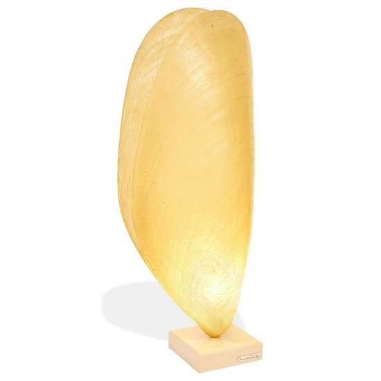 Italian modern shell lamp