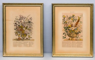Lot of Two Botanical Calendar Prints