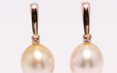 NO RESERVE PRICE - 14 kt. Rose Gold - 9x10mm Golden South Sea Pearl Drops - Earrings