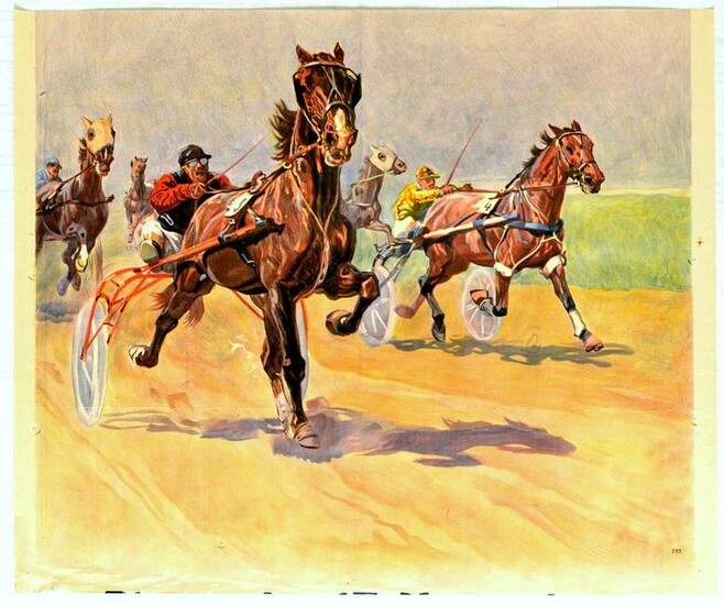 Sport Poster Horse Racing Harness