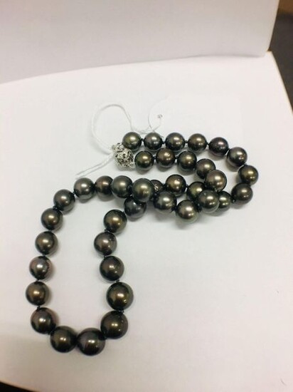 tahitian pearl necklace.