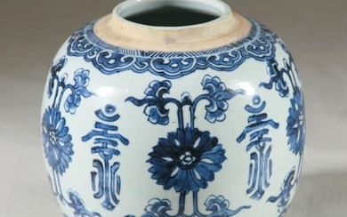 19th C. Chinese Blue & White Ovoid Vessel