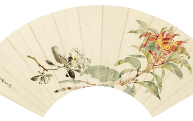 RED TIP PHOTINIA, Yuan Jiang (Circa 1660-1740)