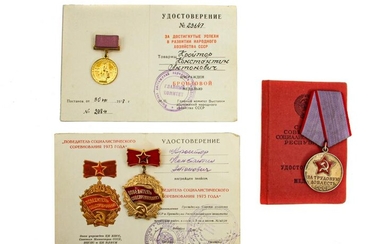 A DOCUMENTED GROUP SOVIET RUSSIAN MEDAL / BADGES