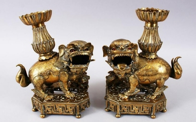 A PAIR OF 19TH / 20TH CENTURY CHINESE BRONZE