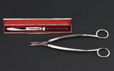 A Presentation Double-Blade Scalpel in Victorian Silver Case