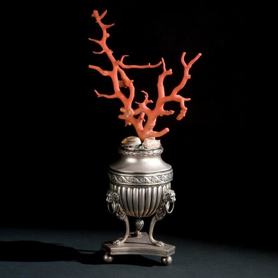 A red coral branch mounted on a Neapolitan silver vase