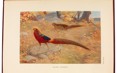 BEEBE, C.W. | A Monograph of the Pheasants, London 1918-1922, 4 volumes
