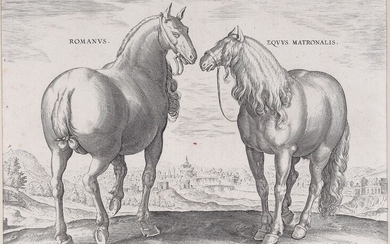 Gravure sur cuivre Baroque 17ème/18ème siècle Romanus & Equus Matronalis 20 x 25,5 cm, avec...