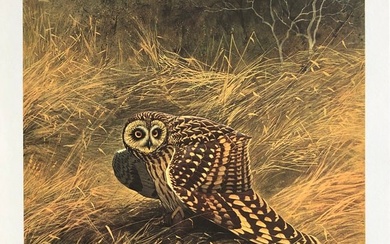 Guy Coheleach "Short Eared Owl" Signed Lithograph