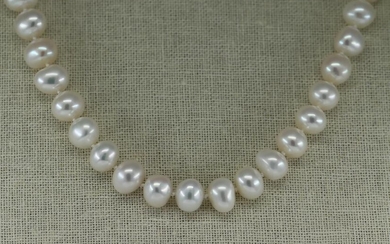 Ladies Pearl Necklace