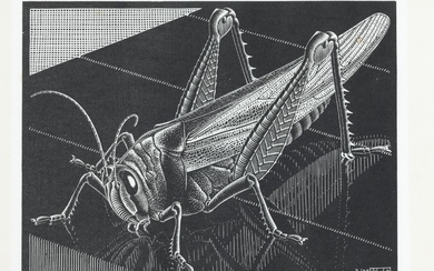 MAURITS CORNELIS ESCHER (1898-1972), Grasshopper