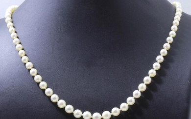 Necklace made of a light fall of cultured pearls of about 5.3 to 8 mm decorated with a silver clasp 800 thousandths with safety chain.