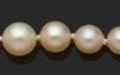 «PERLES FINES» Collier de 135 perles fines... - Lot 8 - Aguttes