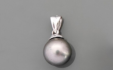 Pendentif en or gris, 750 MM, bélière diamantée portant une perle de culture de Tahiti,...
