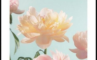 Pretty Pastel Flowers Poster