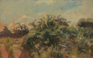 *SIR ALFRED JAMES MUNNINGS (1878-1959) 'Foreground study in ...