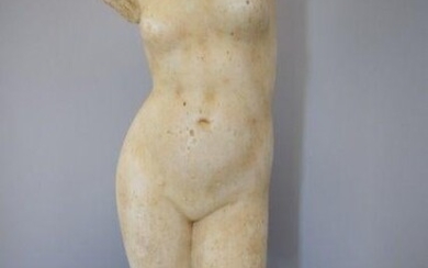 Torso of Venus - Statuary marble - 19th century