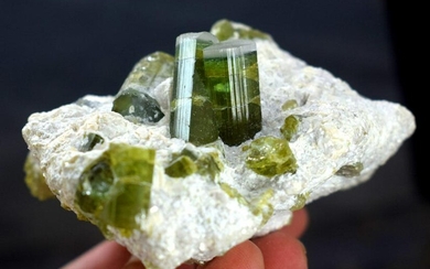 Tourmaline Specimen , Tourmaline Crystals with