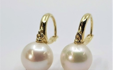 10x11mm Round White Edison Pearls - 14 kt. Yellow gold - Earrings