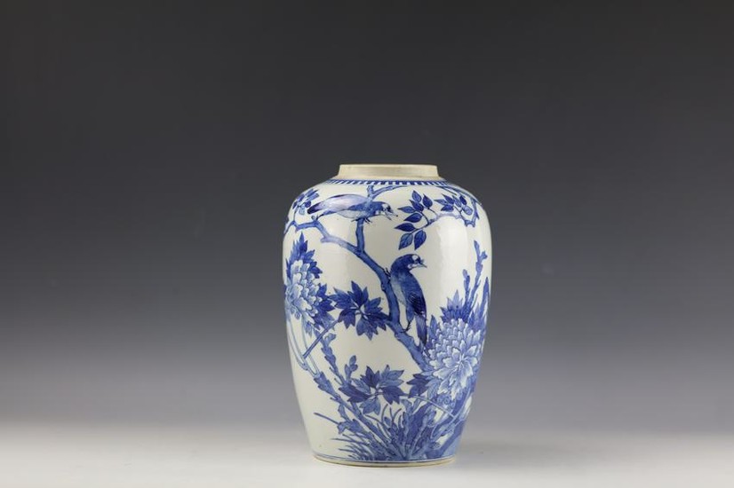 Chinese Blue and White Ovoid Vase with double circle