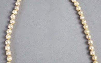 Collana di perle con chiusura in oro 9Kt