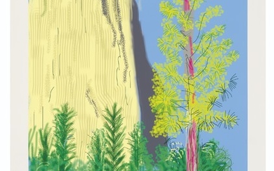 DAVID HOCKNEY (B. 1937), Untitled No. 22, from: The Yosemite Suite